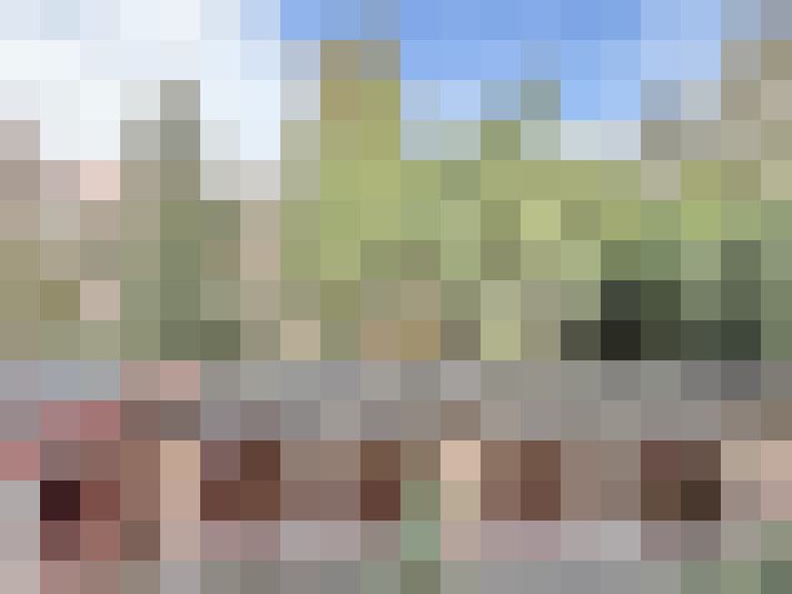 Image 14