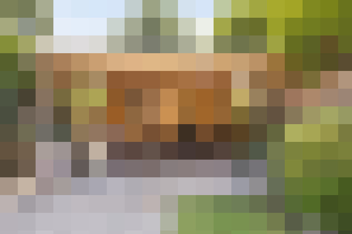 Image 22