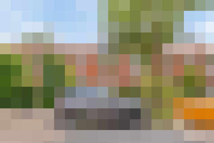 Image 24