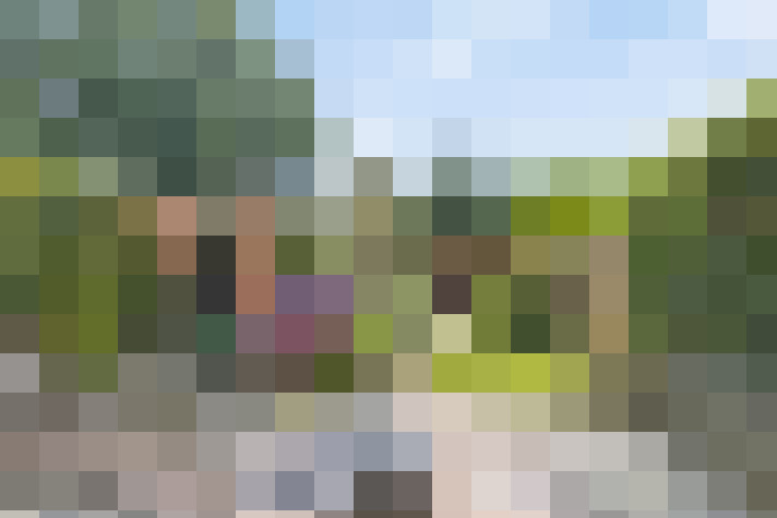 Image 20