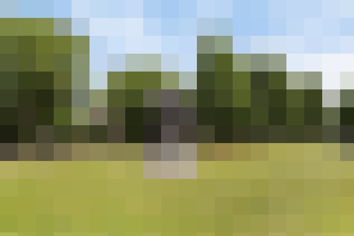 Image 28