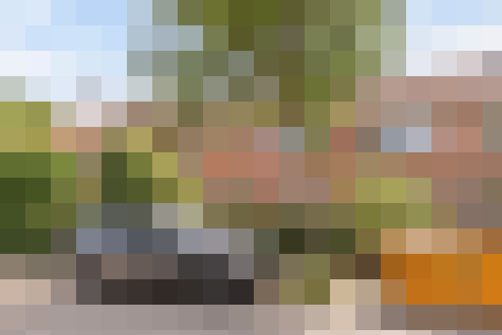 Image 25