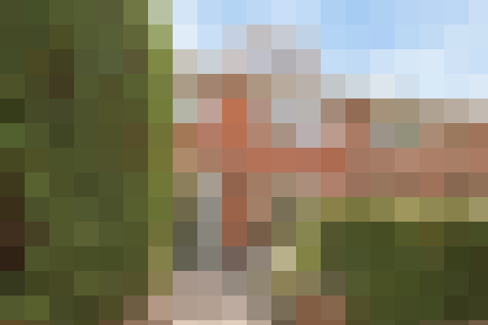 Image 23
