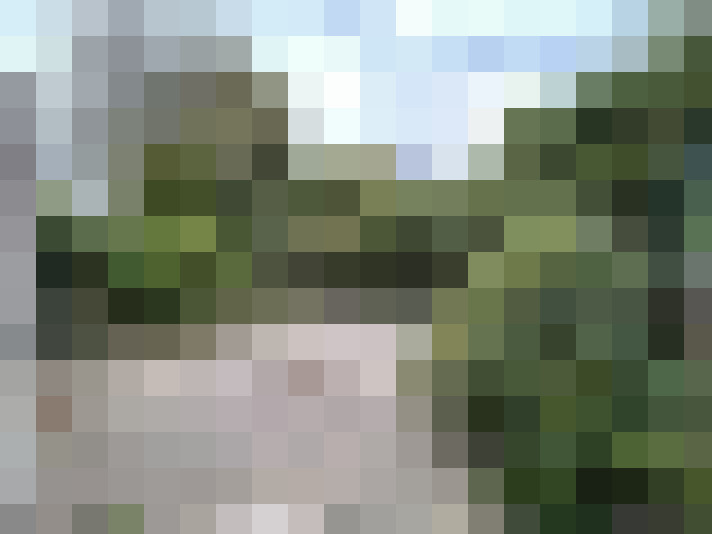 Image 14