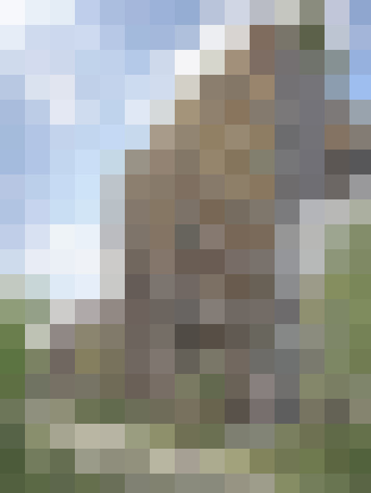 Image 34