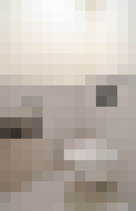Image 30