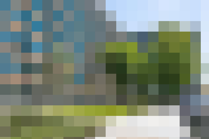 Image 22