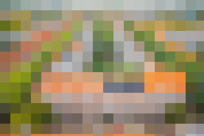 Image 22