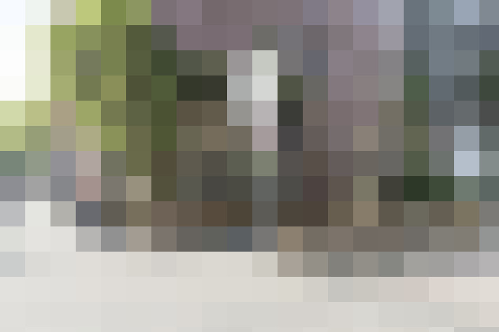 Image 18