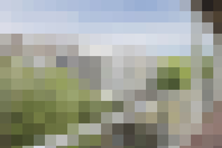 Image 13