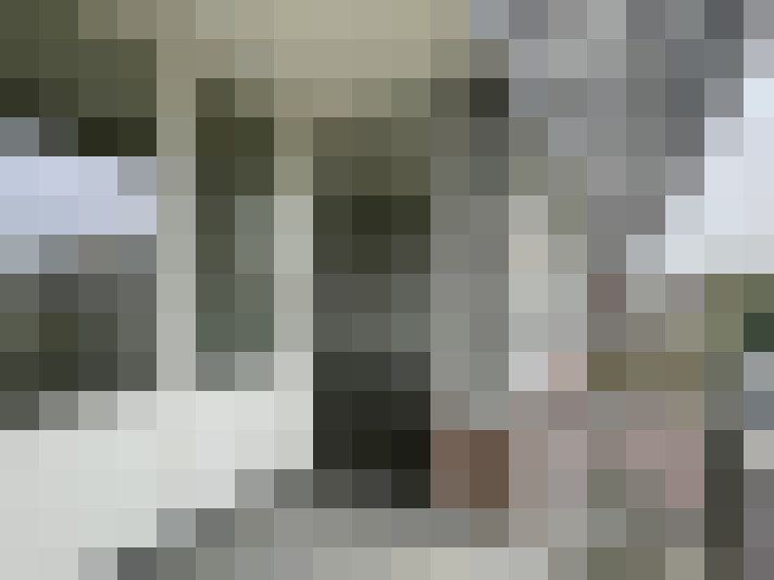 Image 16