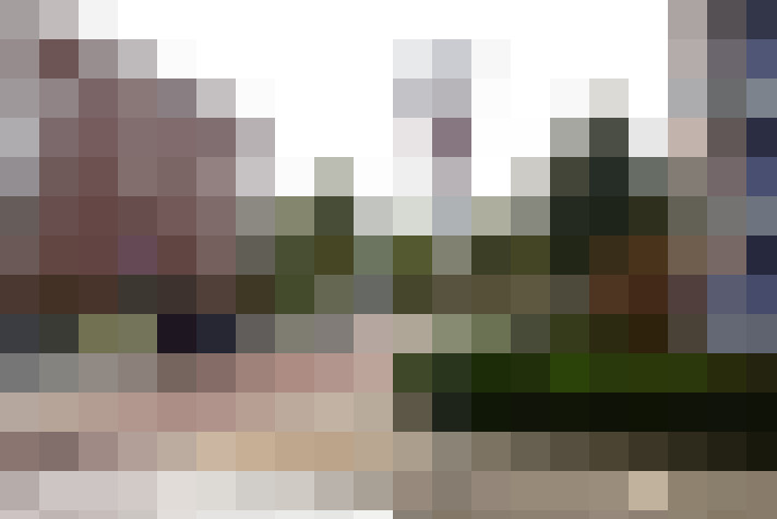 Image 44
