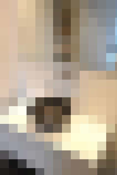 Image 31
