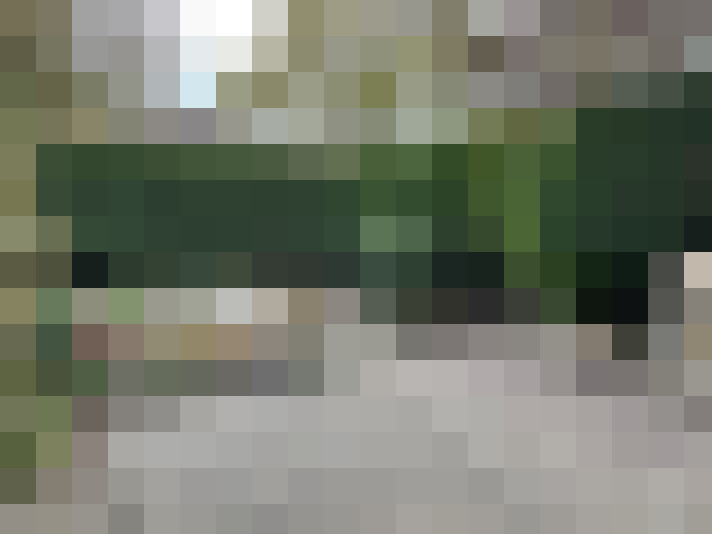 Image 15