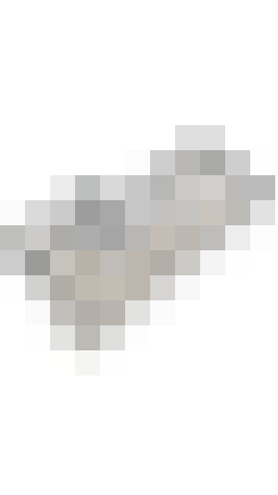Image 31