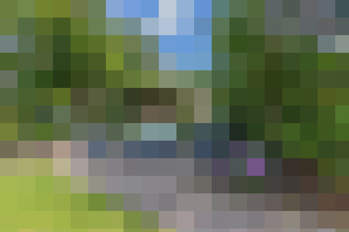 Image 13