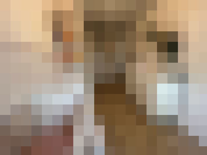 Image 15