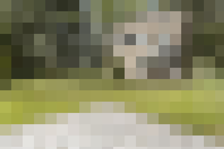 Image 24