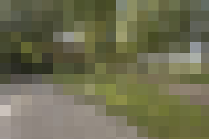 Image 27