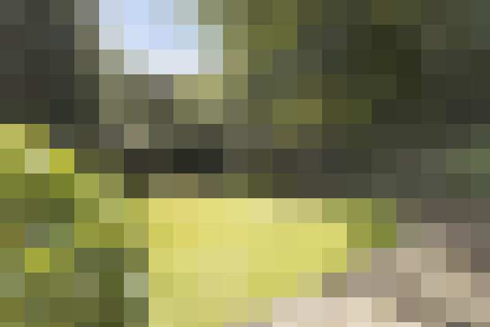 Image 23