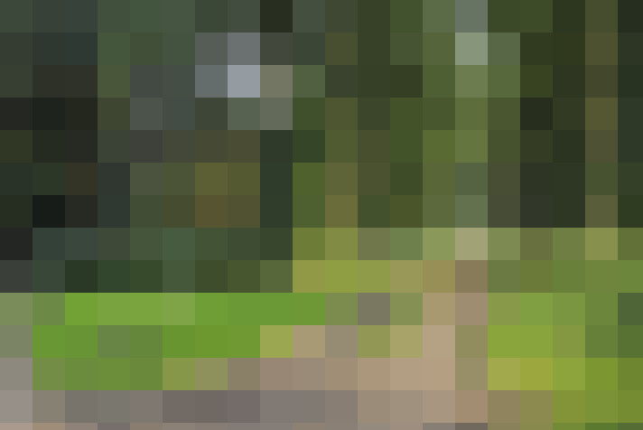 Image 28