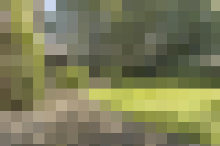 Image 25