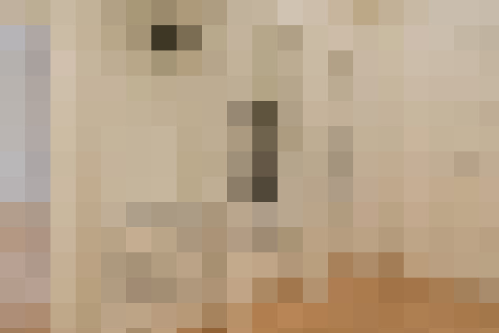 Image 20