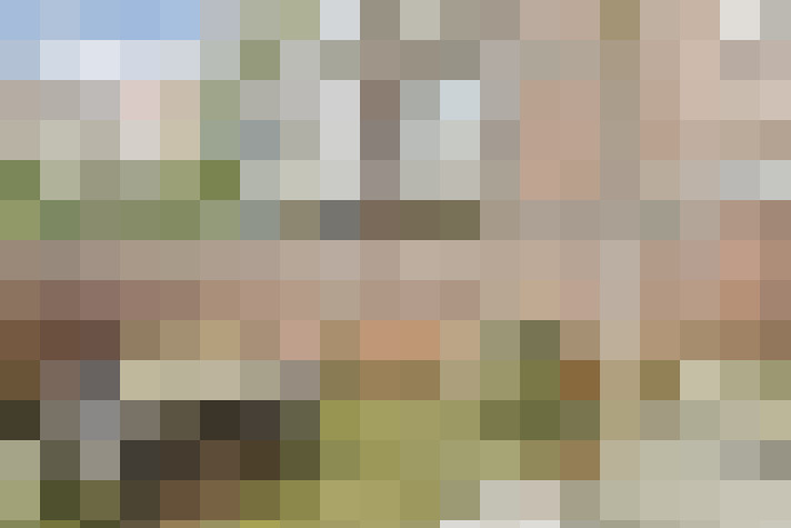 Image 14