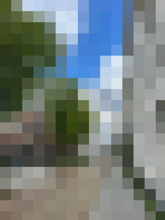 Image 20