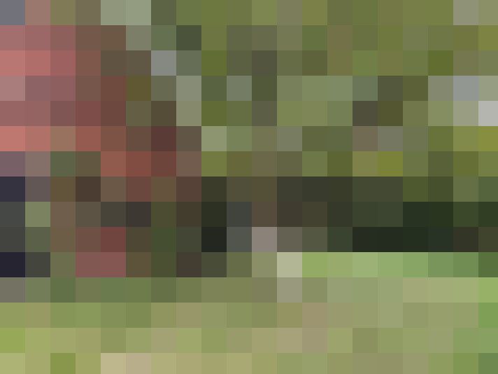 Image 17
