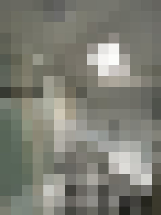 Image 13