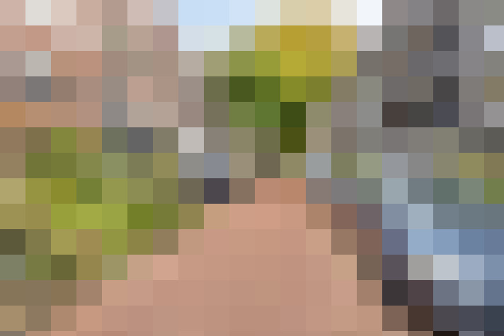 Image 34