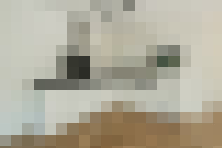 Image 22