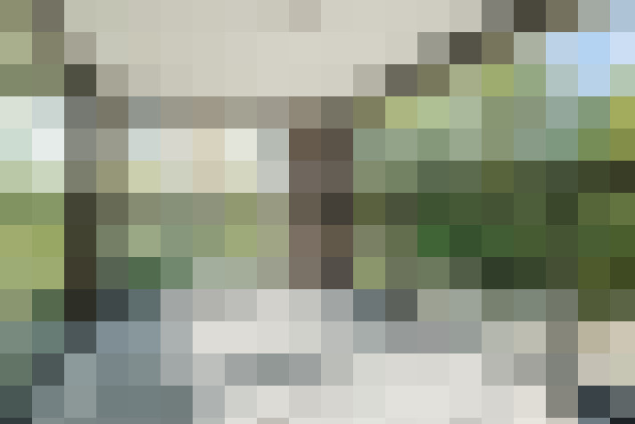 Image 24
