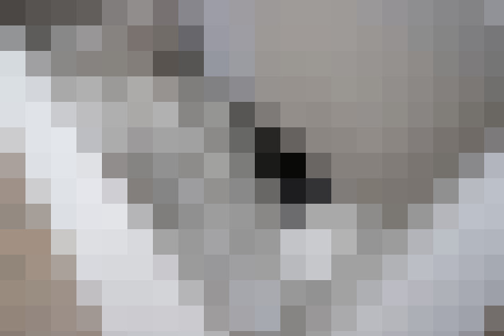 Image 20