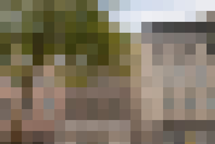 Image 24