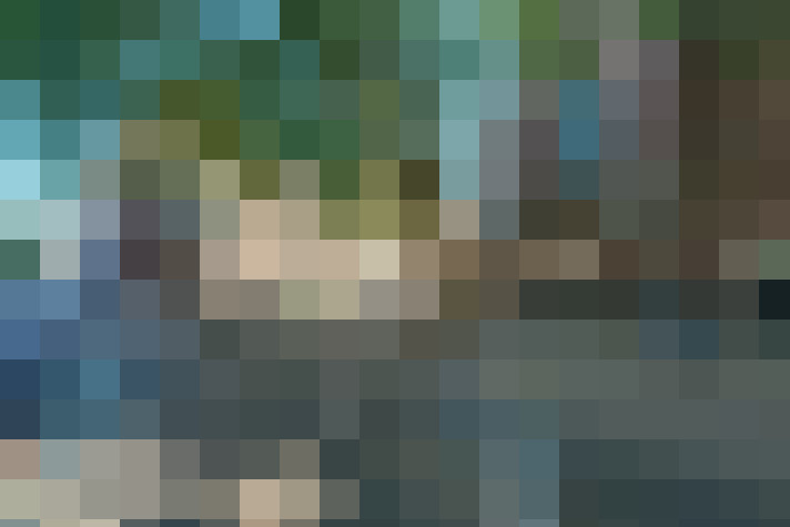 Image 13