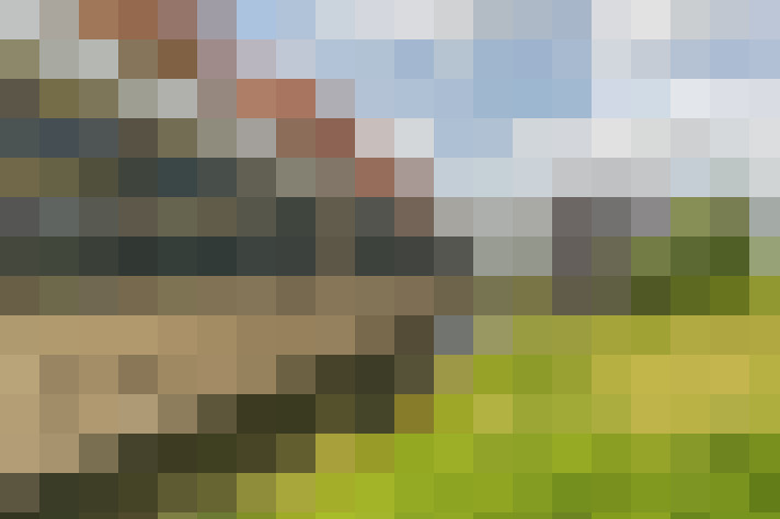 Image 21