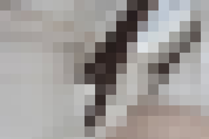 Image 22