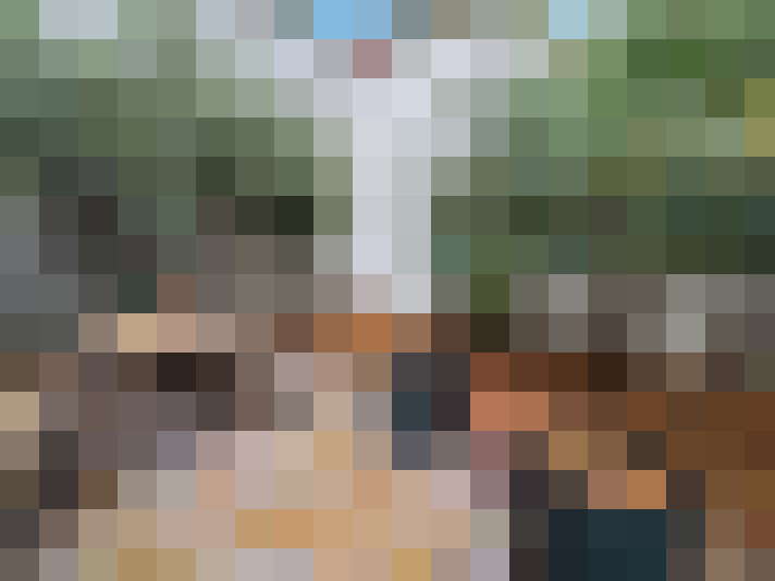 Image 26