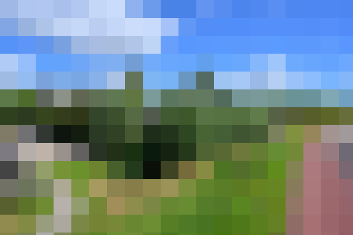 Image 15