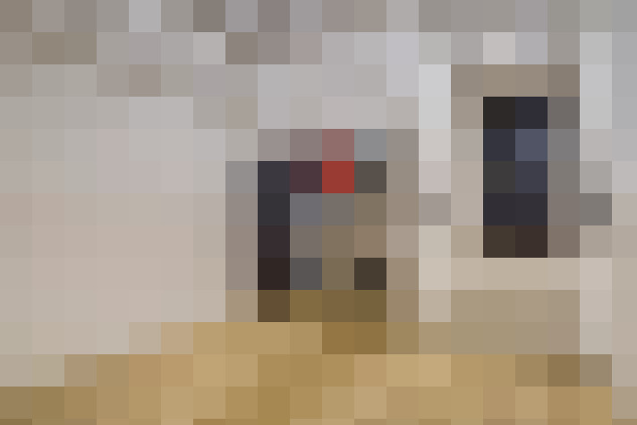 Image 17