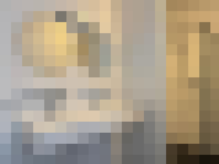 Image 22