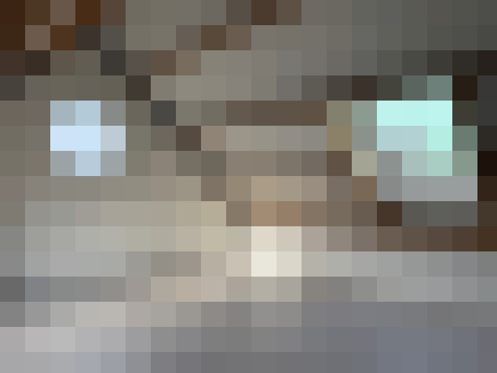 Image 29