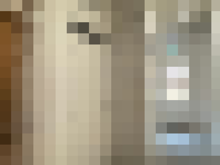 Image 40