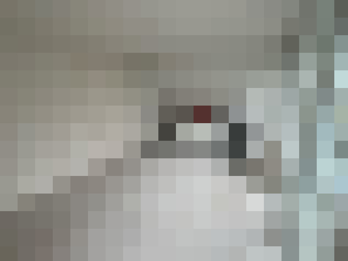 Image 36