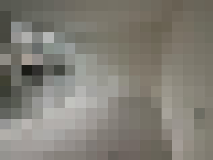 Image 34