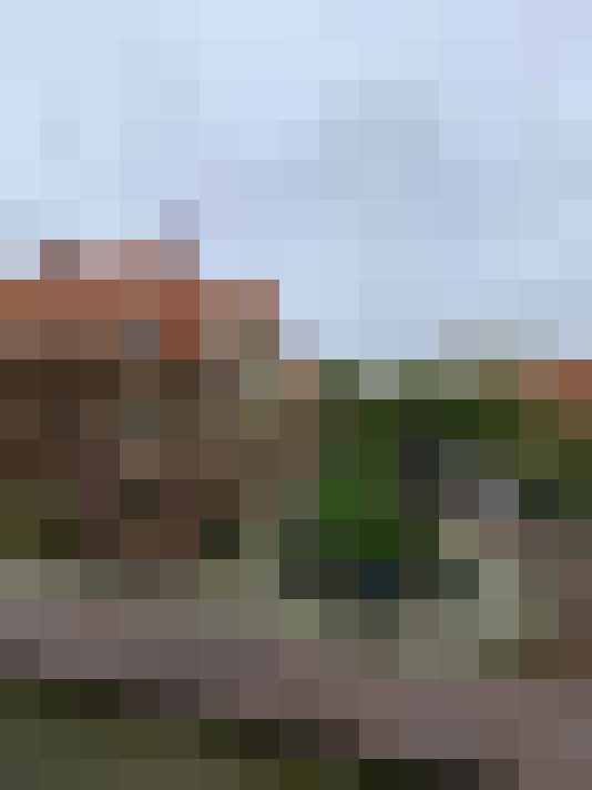 Image 13