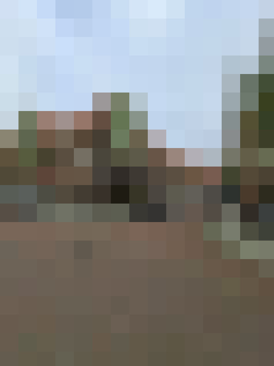Image 30