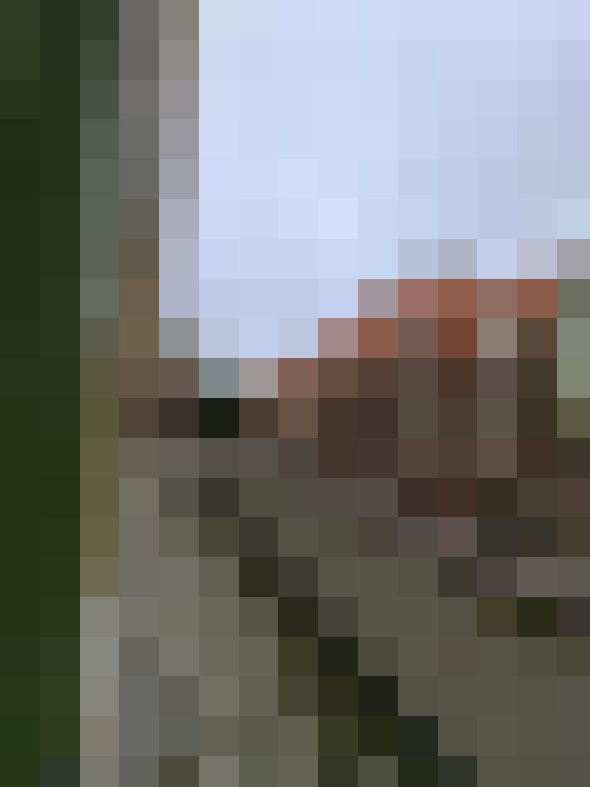 Image 14